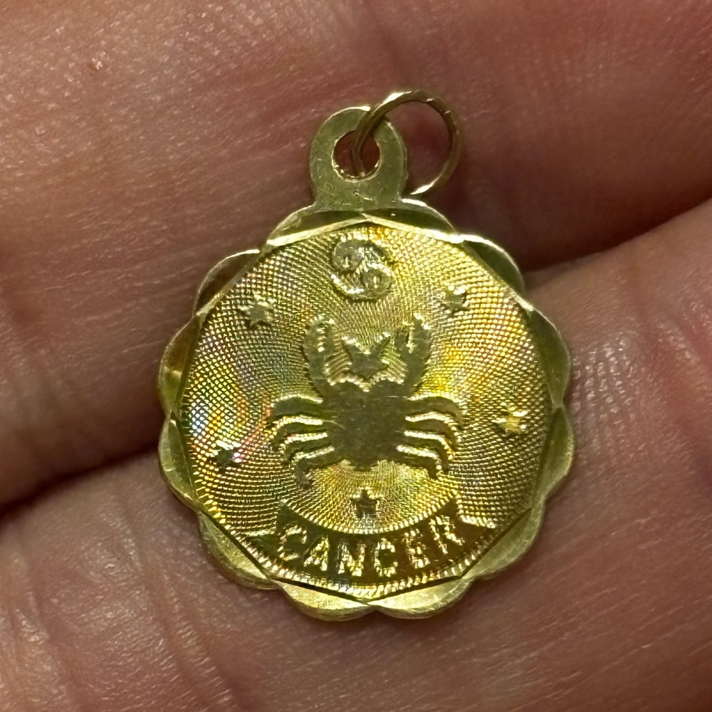 14K Solid Gold Diamond Cut Cancer Zodiac Charm ✨